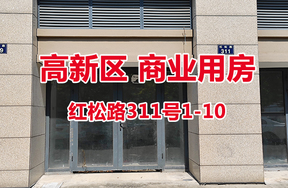 序号10：红松路311号1-10
